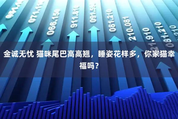 金诚无忧 猫咪尾巴高高翘，睡姿花样多，你家猫幸福吗？