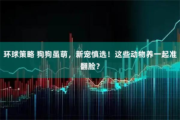 环球策略 狗狗虽萌，新宠慎选！这些动物养一起准翻脸？