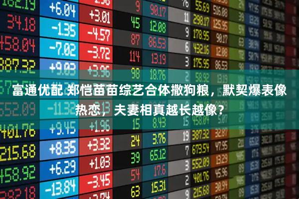 富通优配 郑恺苗苗综艺合体撒狗粮，默契爆表像热恋，夫妻相真越长越像？