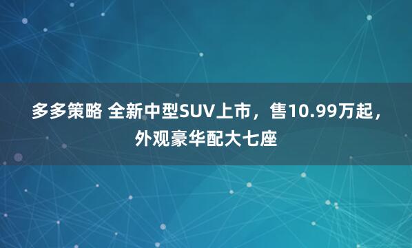 多多策略 全新中型SUV上市，售10.99万起，外观豪华配大七座